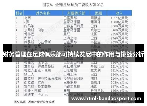 财务管理在足球俱乐部可持续发展中的作用与挑战分析