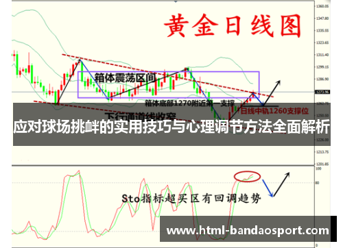 应对球场挑衅的实用技巧与心理调节方法全面解析