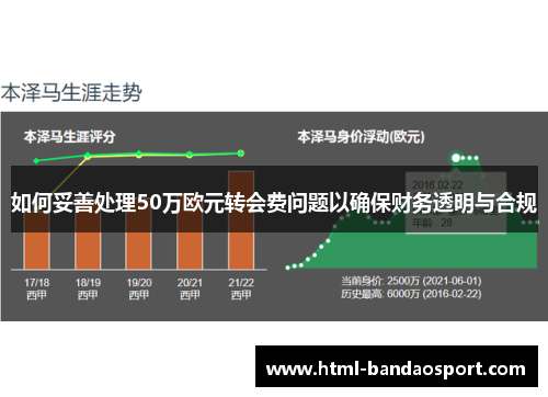 如何妥善处理50万欧元转会费问题以确保财务透明与合规