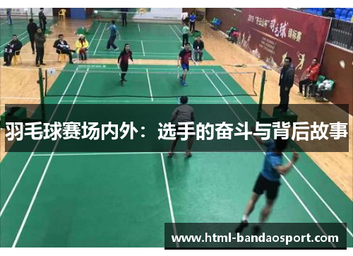 羽毛球赛场内外：选手的奋斗与背后故事