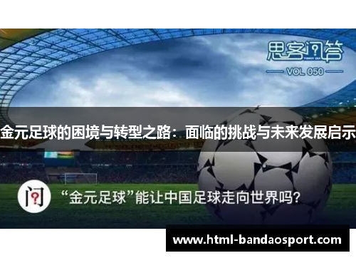金元足球的困境与转型之路：面临的挑战与未来发展启示