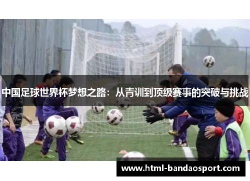 中国足球世界杯梦想之路：从青训到顶级赛事的突破与挑战