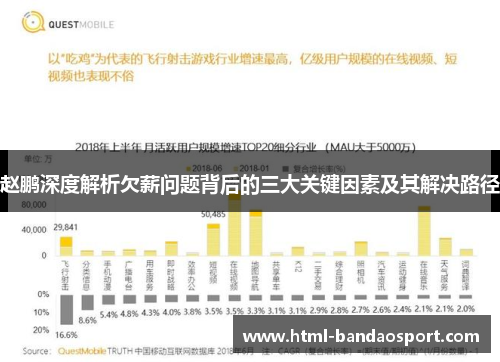 赵鹏深度解析欠薪问题背后的三大关键因素及其解决路径 赵鹏深度解析欠薪问题背后的三大关键因素及其解决路径